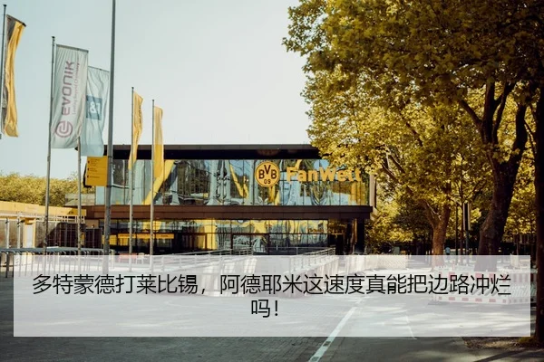 多特蒙德打莱比锡，阿德耶米这速度真能把边路冲烂吗！